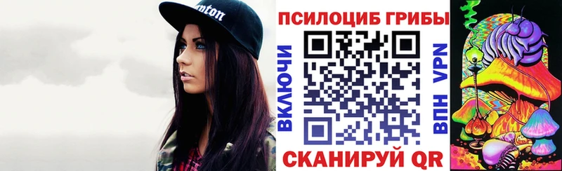 Псилоцибиновые грибы Psilocybe  Первоуральск 